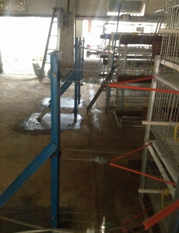 肉鸡笼养殖设备 养鸡笼 肉鸡笼养设备